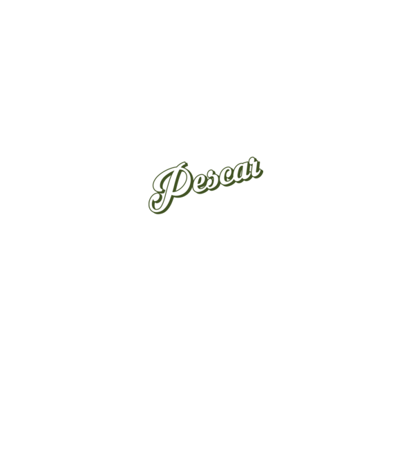 Cel mai bun Pescar din lume model gri pe tricou