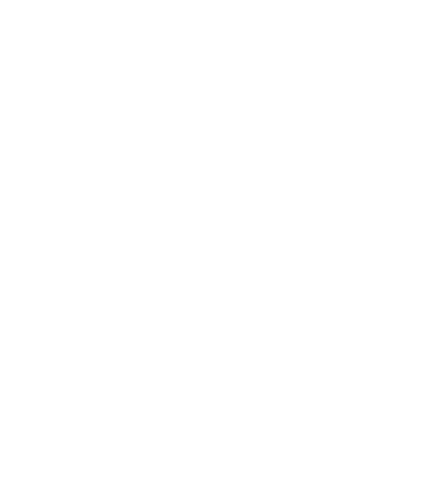 Zugravul model negru pe tricou