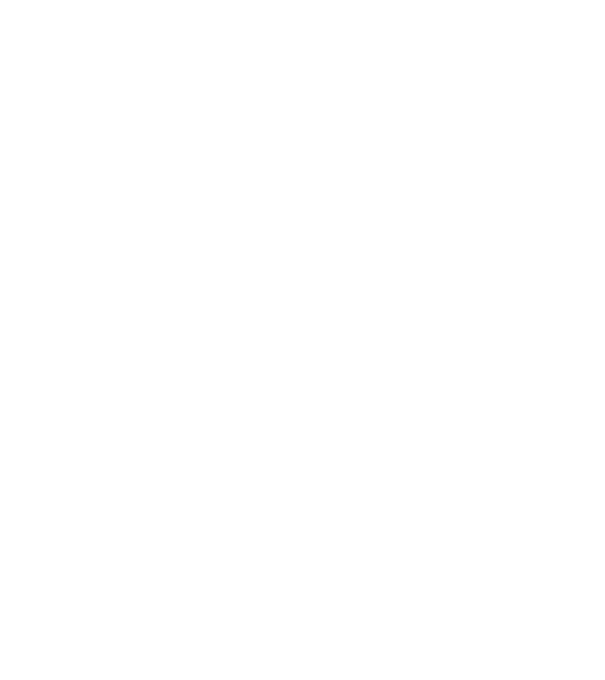 nimeni nu e perfect, dar stăpânii de boston terrier sunt foarte aproape model negru pe tricou