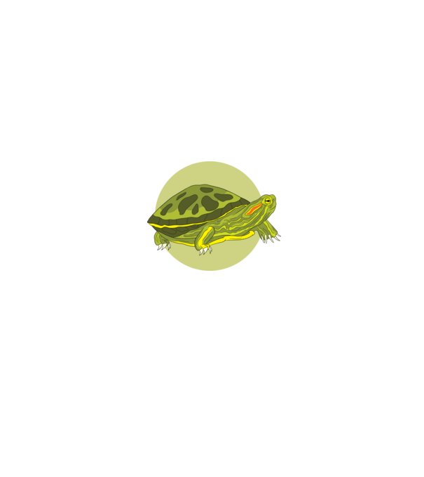 Turtle model negru pe tricou