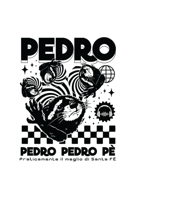 Pedro techno model albastru deschis pe tricou