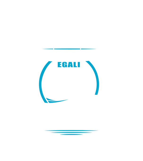 Toți bărbații se nasc egali camioane model alb pe tricou
