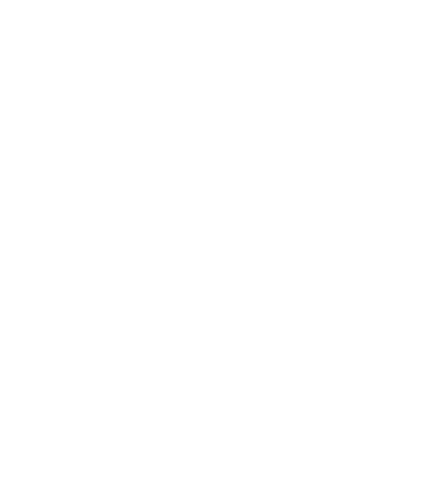 Mr 1 model negru pe tricou
