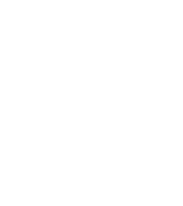 Cei mai buni au gemeni model negru pe tricou