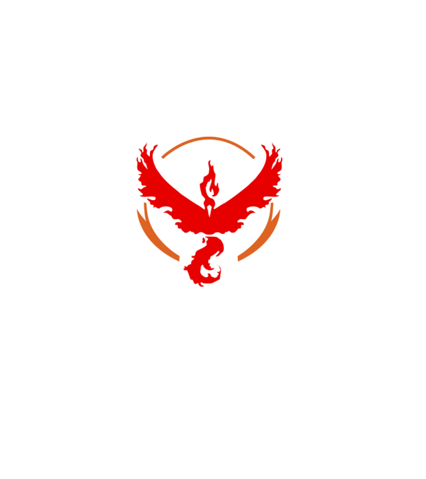 Valor team logo model alb pe tricou