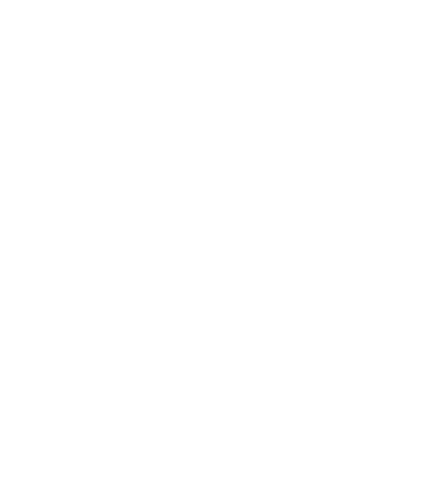 Mr never right model gri pe tricou