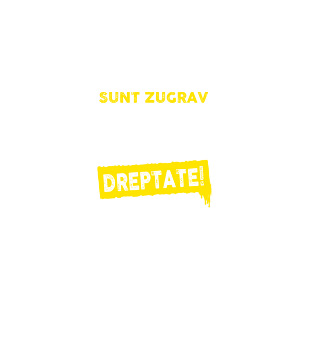 Sunt zugrav, pentru a economisi timp, să reținem că am întotdeauna dreptate! model negru pe tricou