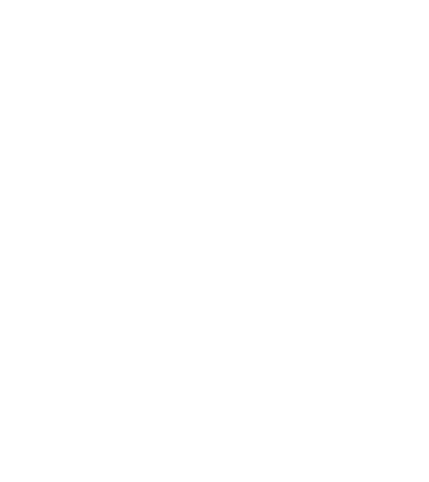 Zidarul model negru pe tricou