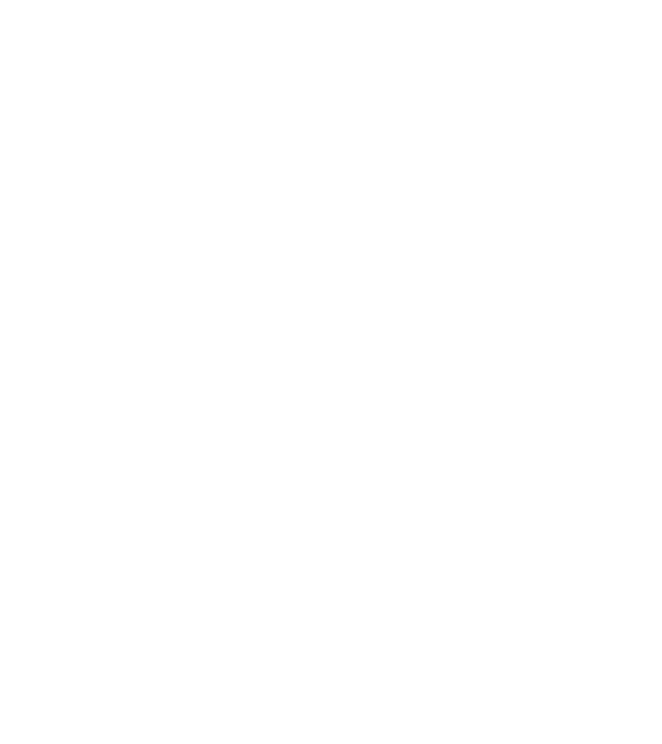 Alive since 2009 model gri pe tricou