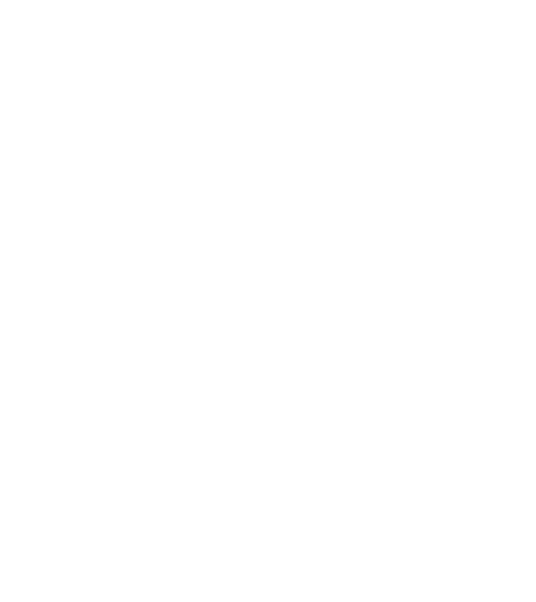 Box evoluție model negru pe tricou
