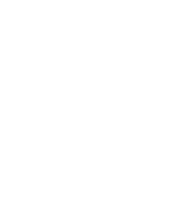 LOVE VIȘLĂ model negru pe tricou