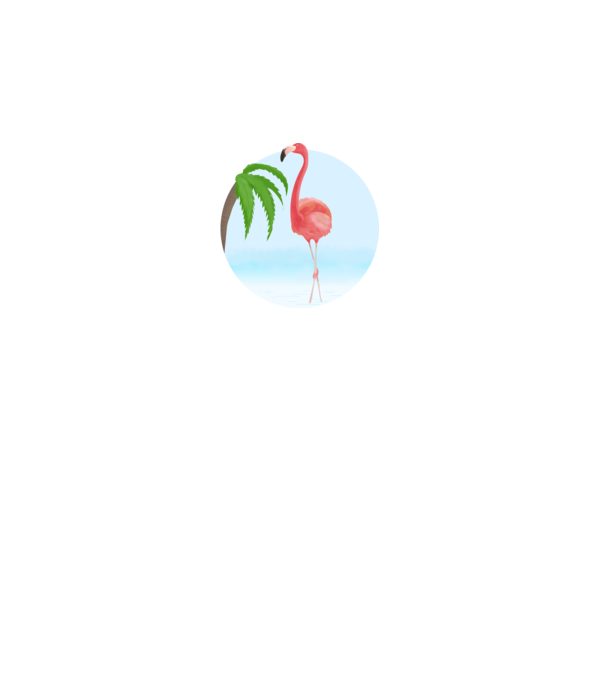 Flamingo model alb pe tricou