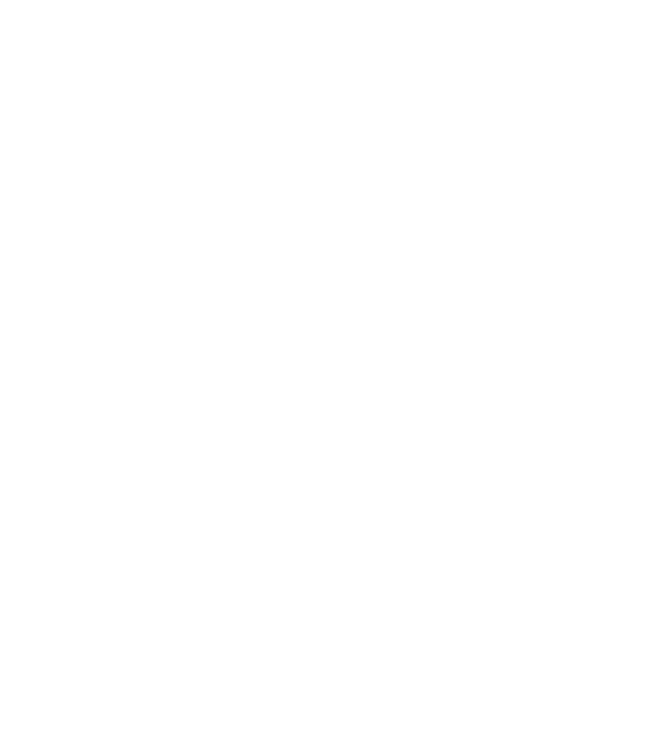 Crazy Cat Ladies are born in January model negru pe tricou