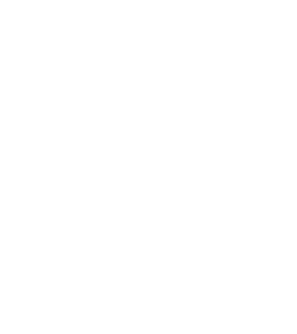 Mr. model negru pe tricou