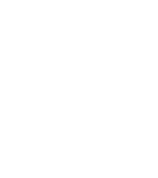 Zugravul model negru pe tricou