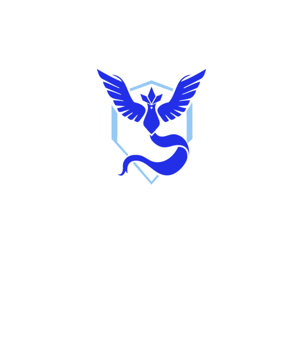 Mystic team logo model gri pe tricou