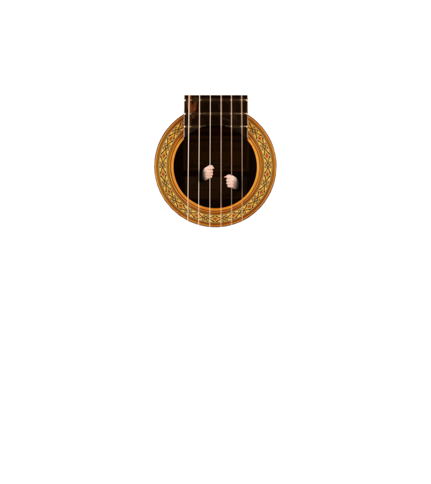 Guitar prison model negru pe tricou