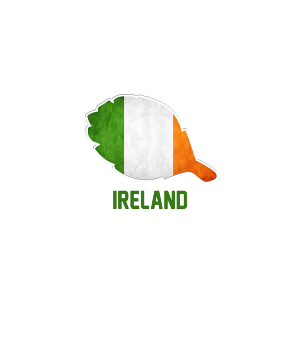 Steag irlandez model alb pe tricou