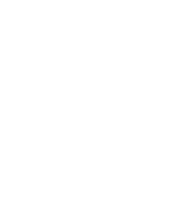 SONS OF LIFTING model gri pe tricou