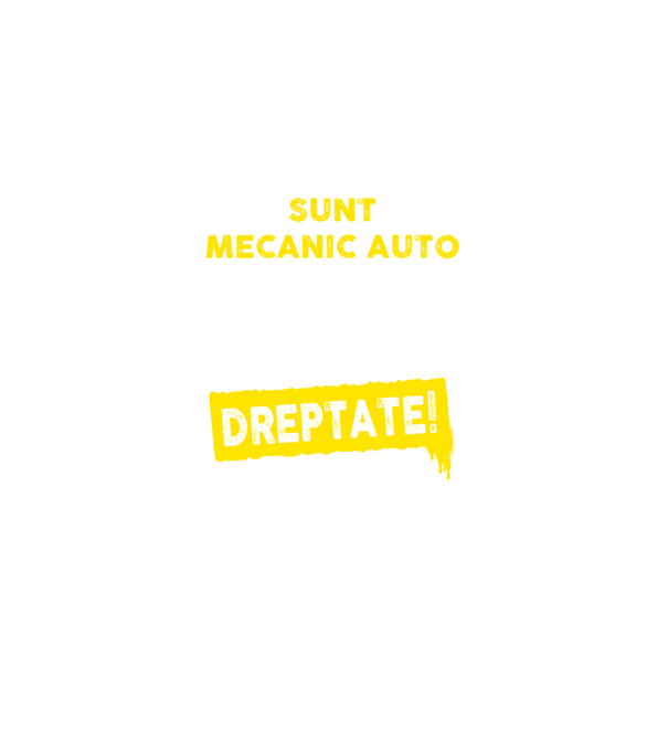 sunt MECANIC AUTO, pentru a economisi timp, să reținem că am întotdeauna dreptate model negru pe tricou