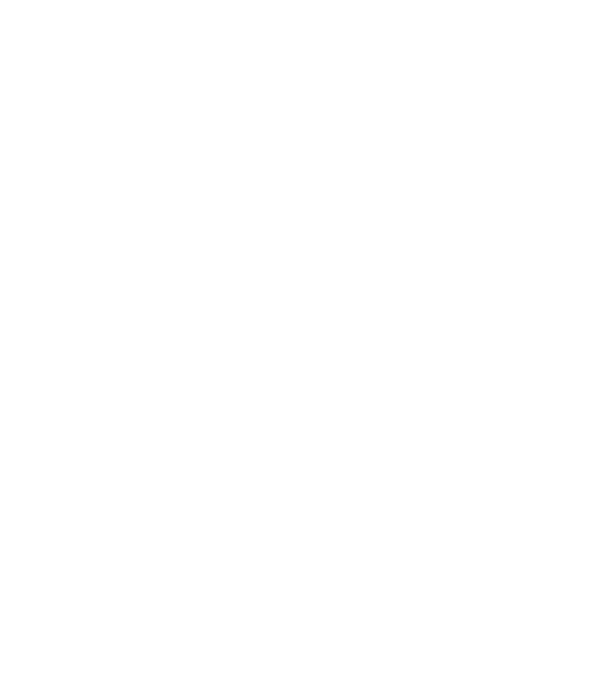 Camion 2. model gri pe tricou