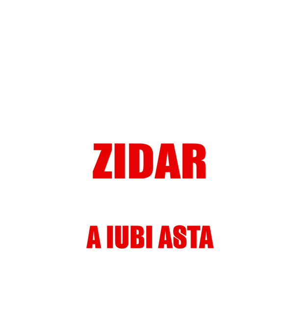 Sunt suficient de priceput pentru a fi ZIDAR și suficient de nebun pentru a iubi asta model negru pe tricou