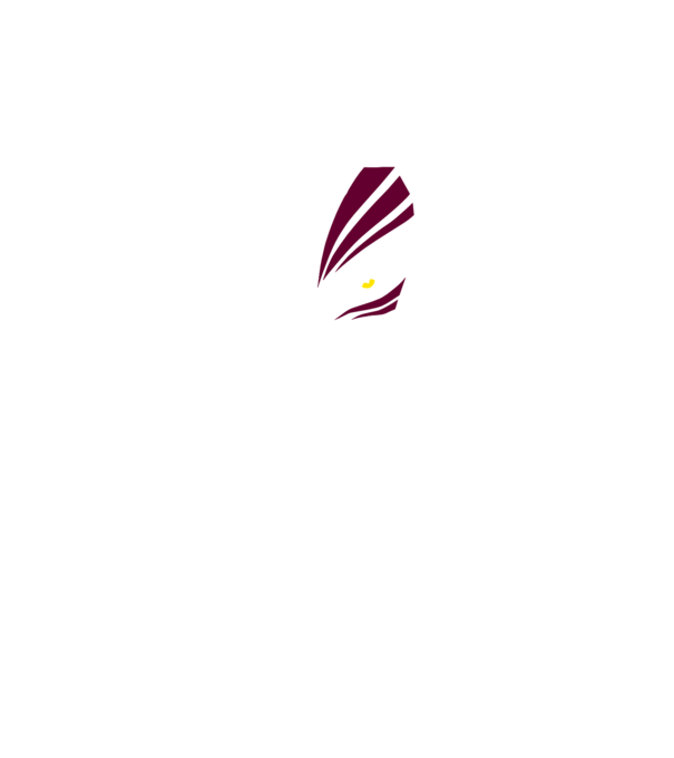 Ichigo Hollow Mask model negru pe tricou
