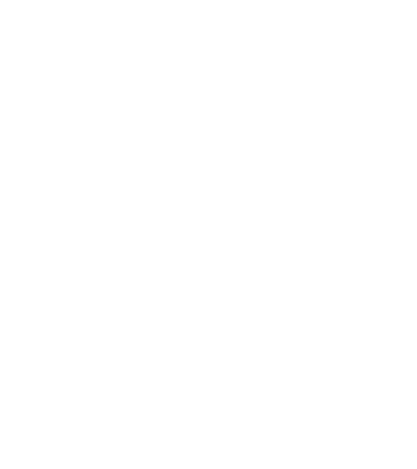 nimeni nu e perfect, dar stăpânii de border collie sunt foarte aproape model negru pe tricou