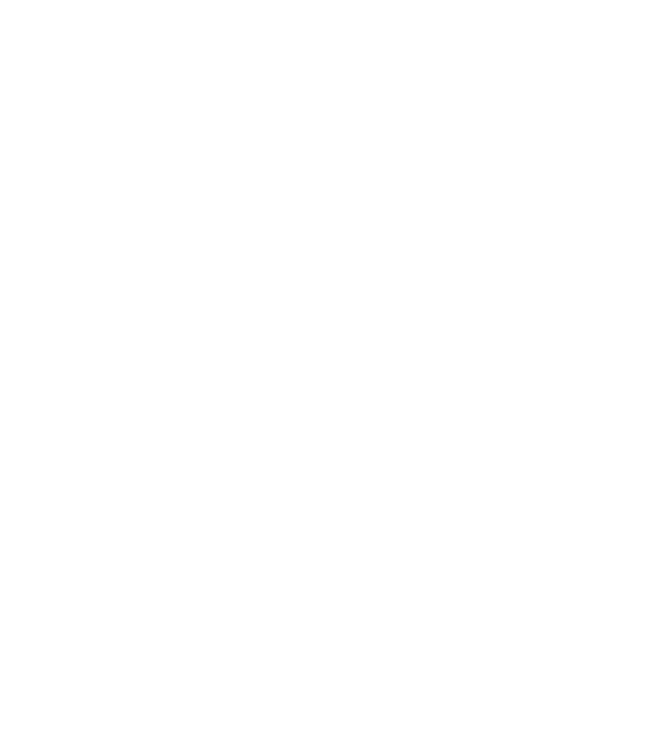 chitară evolution model negru pe tricou