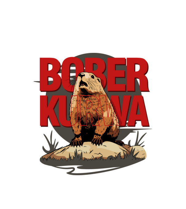 BOBER model alb pe tricou