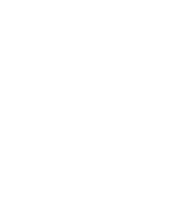 Nu mă poți surprinde cu nimic, am patru fiice model gri pe tricou