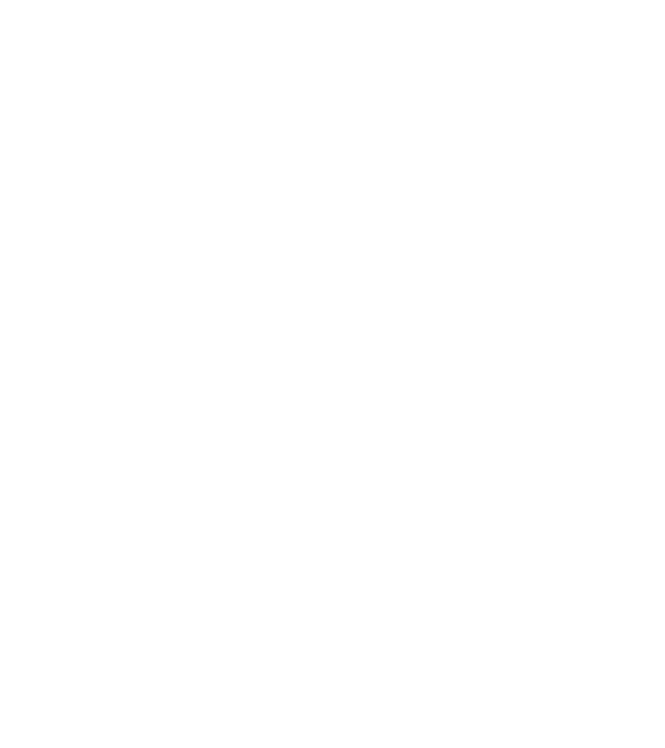 Crazy Cat Ladies are born in August model gri pe tricou