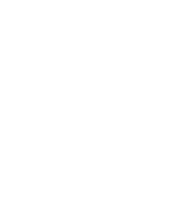 Zugravul model negru pe tricou