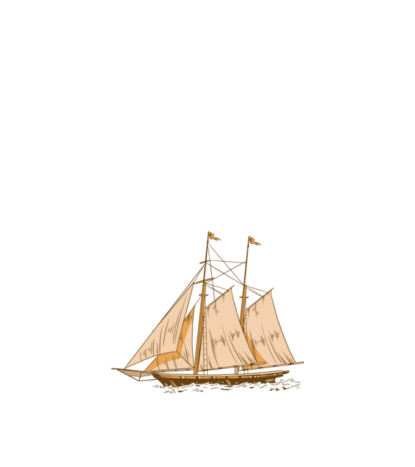 Vapoare model alb pe tricou