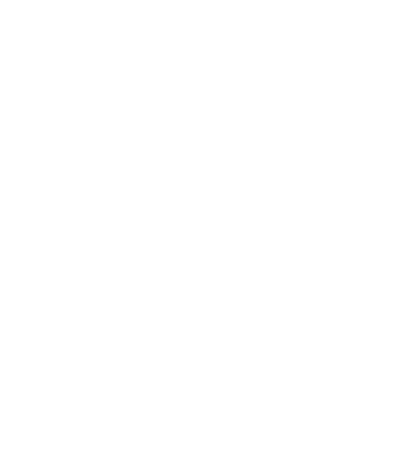 turist model gri pe tricou