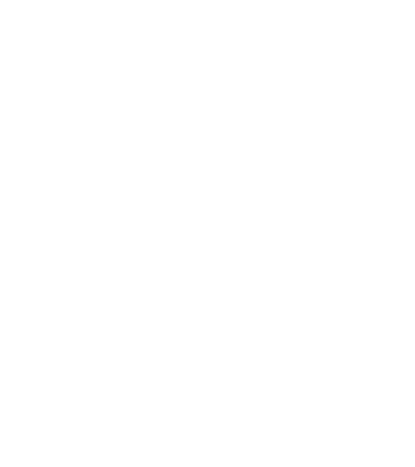 Bug fixed model alb pe tricou