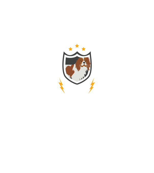 serviciu de securitate - securitate - persistență - 24 de ore pe zi model negru pe tricou