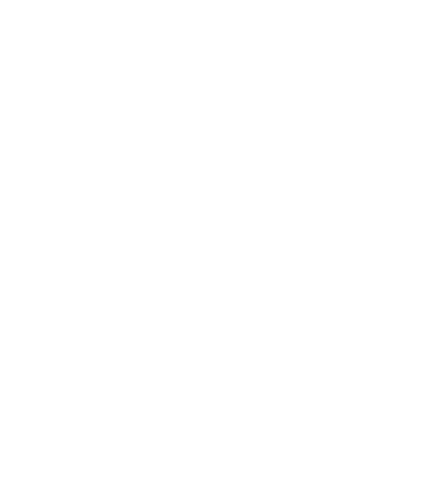 LOVE Pudel model turcoaz pe tricou