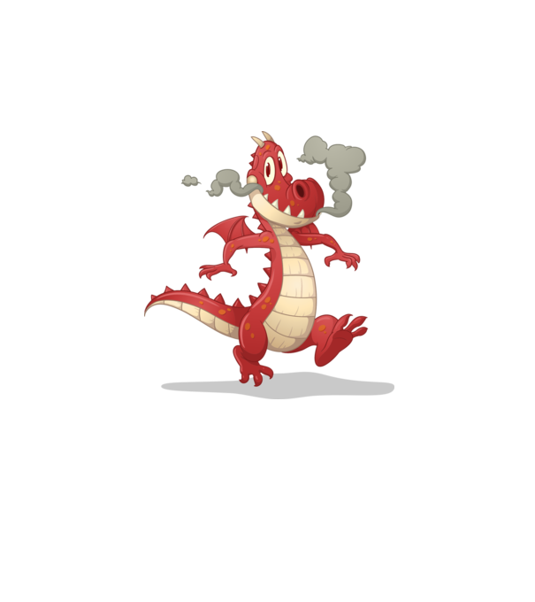 Dragon model gri pe tricou