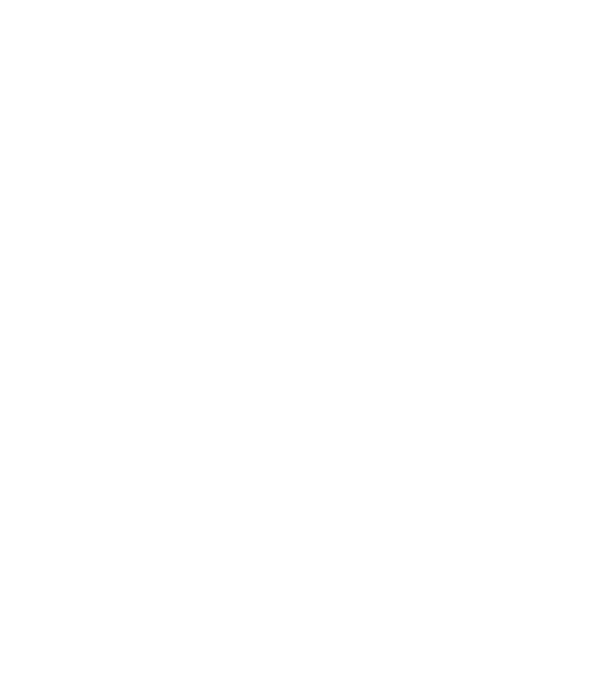 Meowtalica model galben neon pe tricou