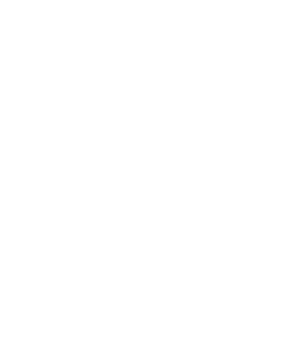 Camion 2. model gri pe tricou