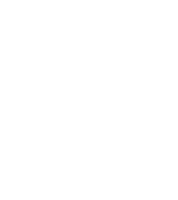 Tatadidas model alb pe tricou