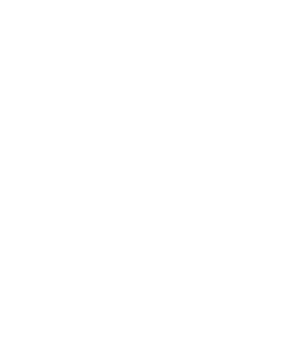 I do my own stunts model negru pe tricou