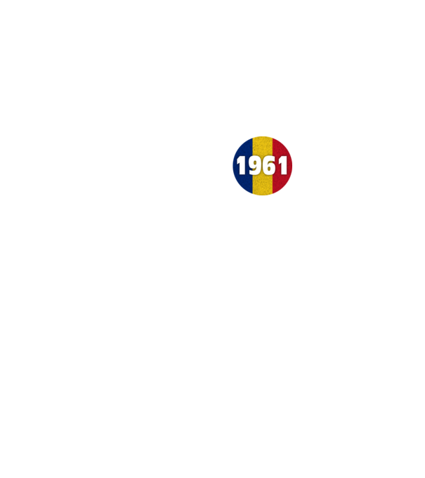 made in 1961 retro vintage model negru pe tricou