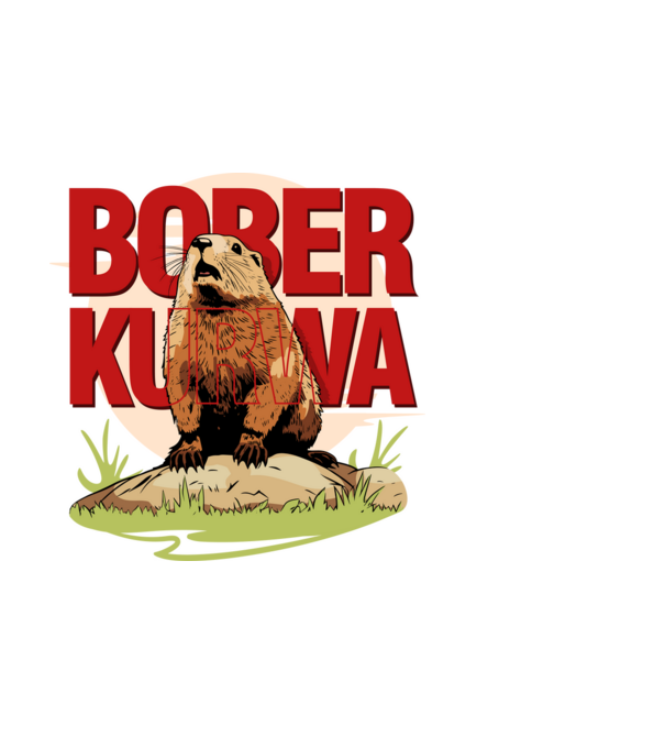 BOBER model alb pe tricou