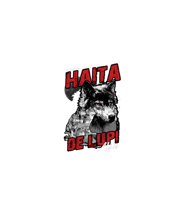Petrecere de burlac - haită de lupi masculi alfa model negru pe tricou