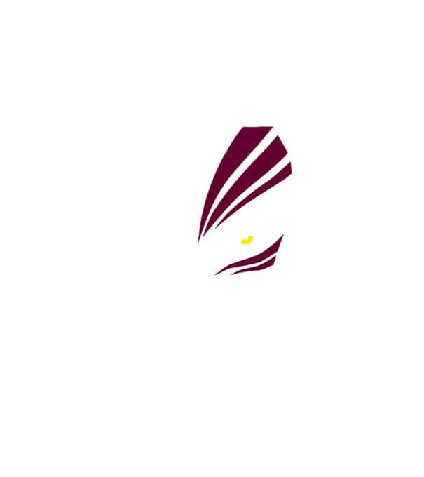 Ichigo Hollow Mask model negru pe tricou