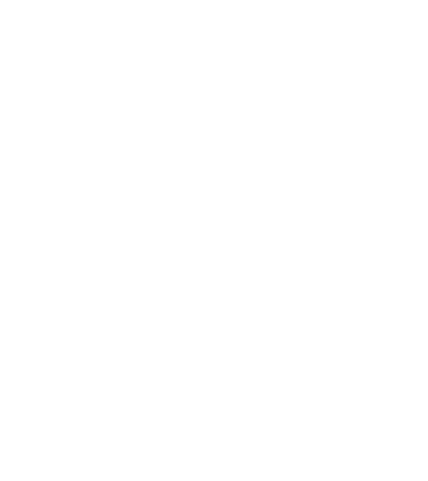 All men are created equal but only the best are born in june model negru pe tricou
