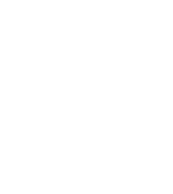 demodog logo model alb pe tricou