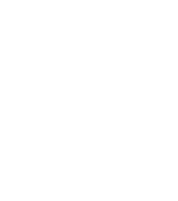 EarthLogo model negru pe tricou